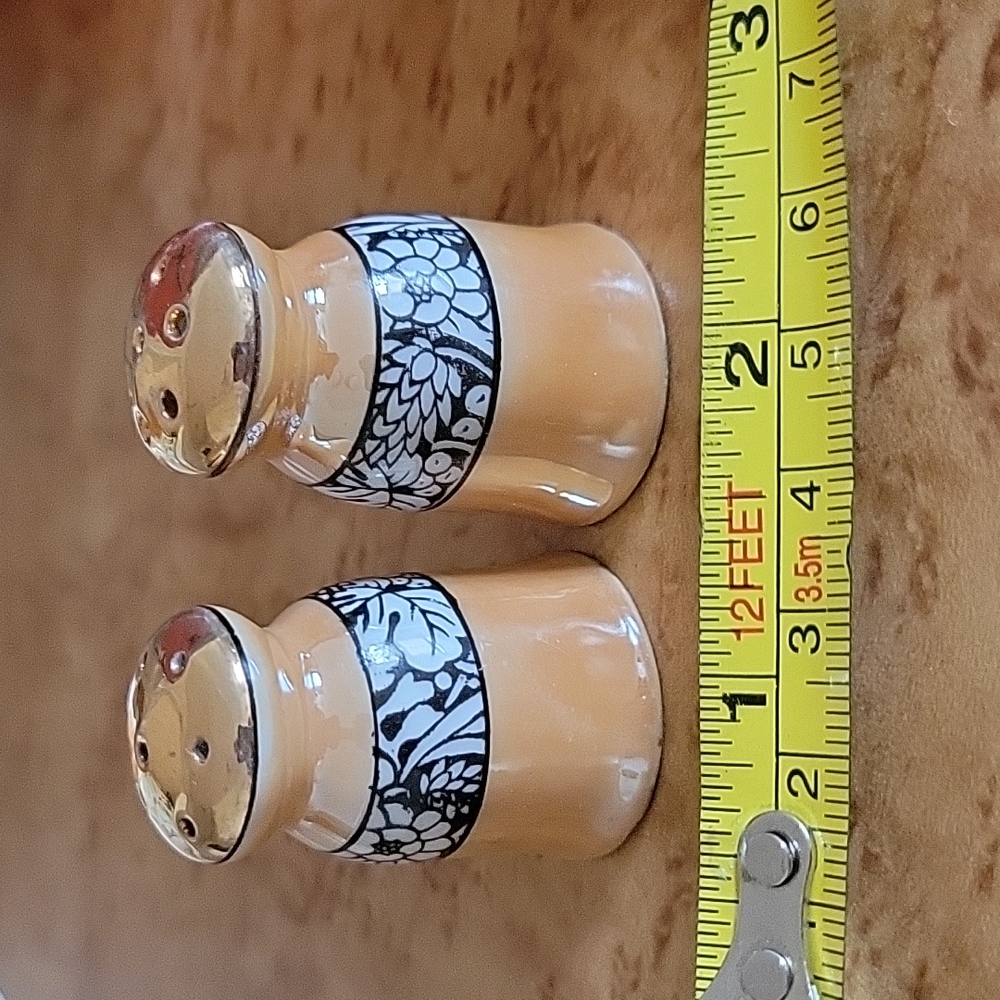 Vintage Salt and Pepper Shakers Lusterware